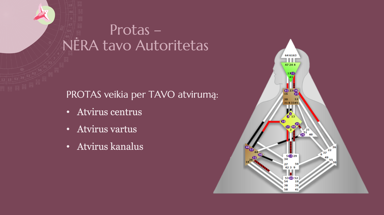 Gyvenk Savo Dizainą kuras, Žmogaus Dizainas